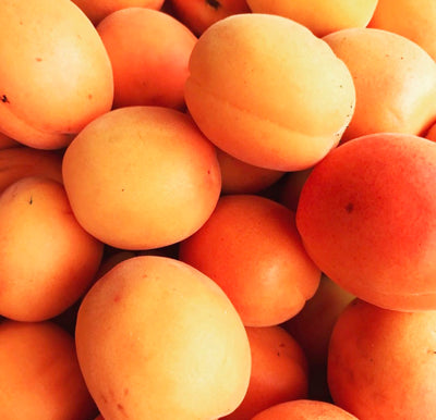 Apricots